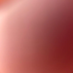 Meet your Posher, Solomon